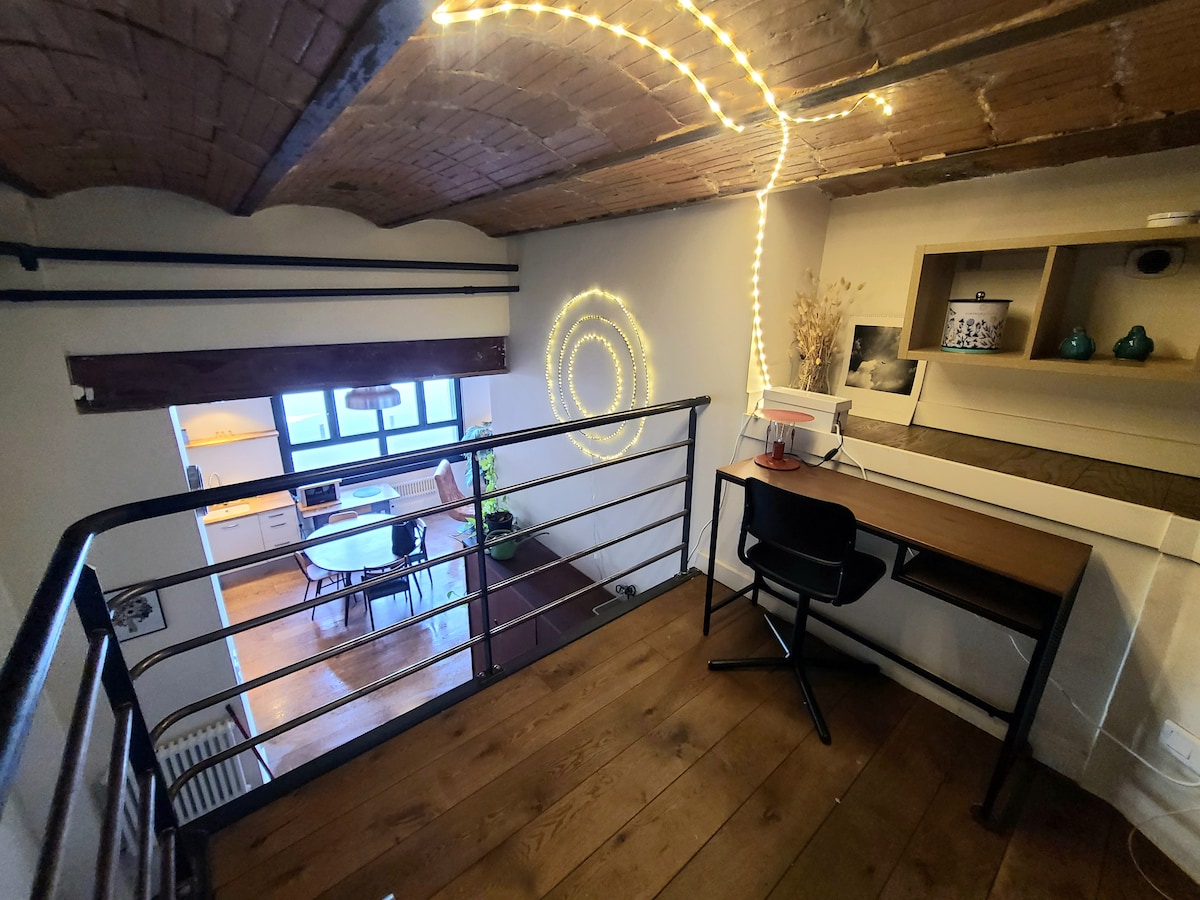 Magnifique 3 pièces type Loft / Centre-ville Gare